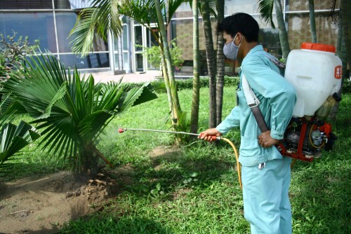 dịch vụ diệt côn trùng tại Huế