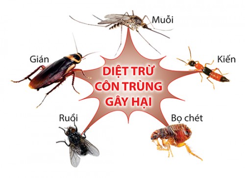 diệt côn trùng