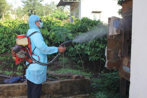 Dịch vụ diệt muỗi giá tốt ở Huế